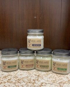 Wicks For Wags Candle 8oz