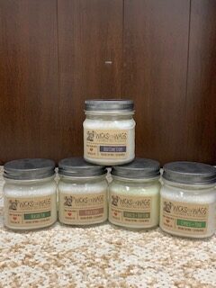 Wicks For Wags Candle 8oz