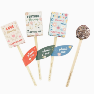 Sow the Magic Garden + Seed Planting Pops